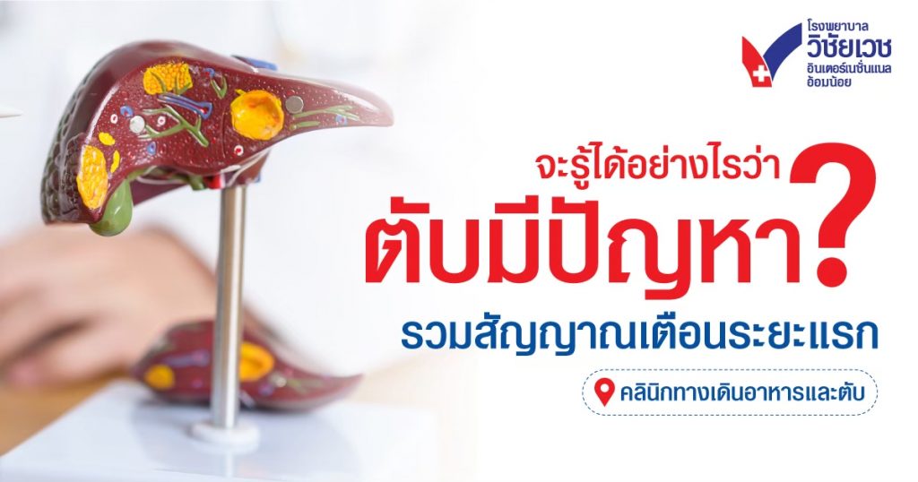 จะรู้ได้อย่างไรว่าตับมีปัญหา  สัญญาณเตือนระยะแรกที่ไม่ควรมองข้าม