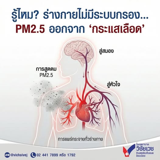 รู้ไหม? ร่างกายไม่มีระบบกรอง PM2.5 ออกจาก “กระแสเลือด”