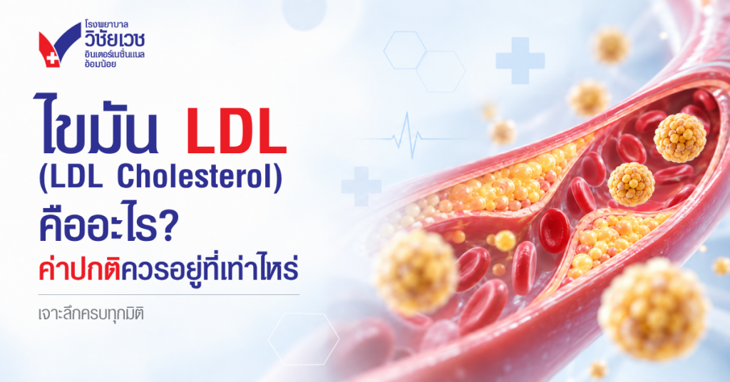 ไขมัน LDL (LDL Cholesterol) คืออะไร? ค่าปกติควรอยู่ที่เท่าไหร่ เจาะลึกครบทุกมิติ