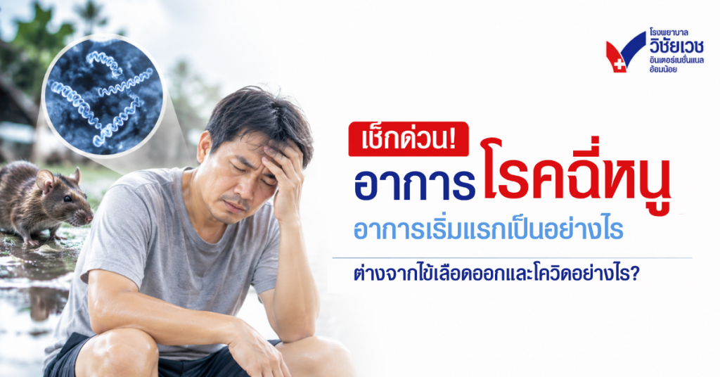 เช็กด่วน! อาการโรคฉี่หนู เริ่มแรกเป็นอย่างไร ต่างจากไข้เลือดออกและโควิดอย่างไร?